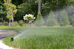 Outdoor lawn irrigation system