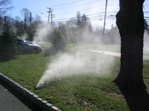 Sprinkler System Blowout 