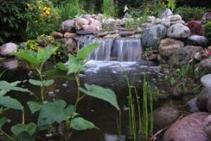 Waterfall Water Feature 