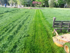 Lawn care and maintenance In New Jersey 