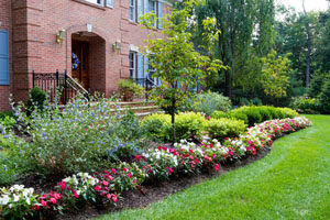 Lawn and garden trends