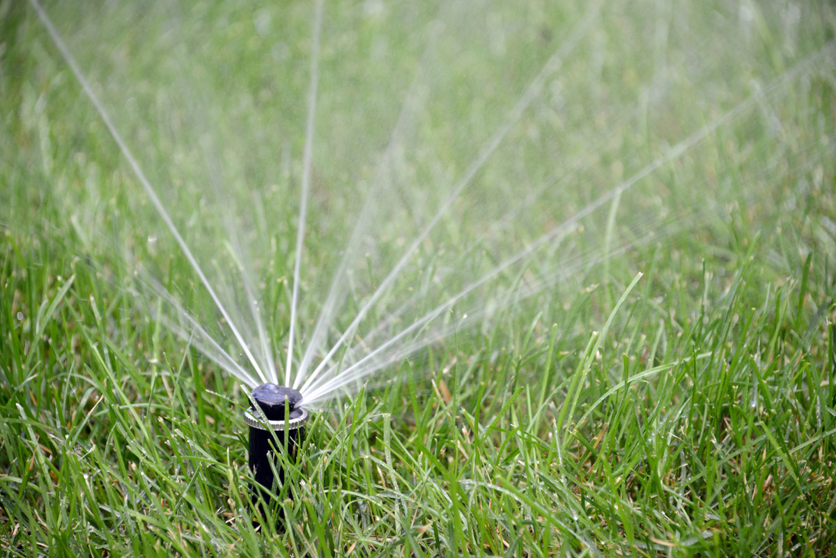 yard irrigation system by Horizon Landscape