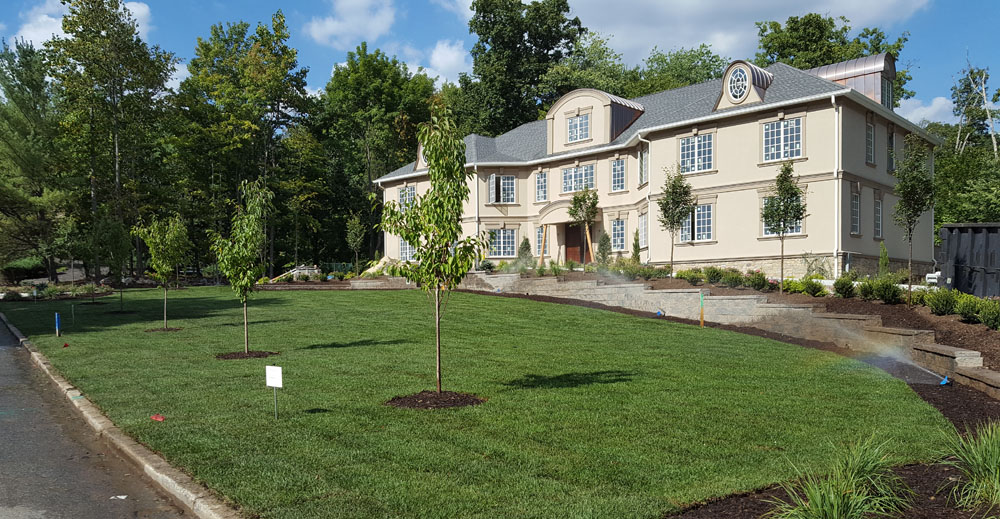 residential sod installation and landscape construction by Horizon Landscape